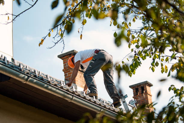 Best Flat Roof Repair Services  in Posen, IL
