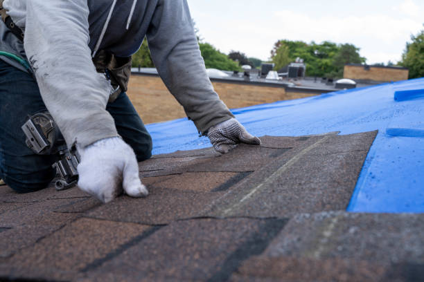 Gutter Installation and Roofing in Posen, IL