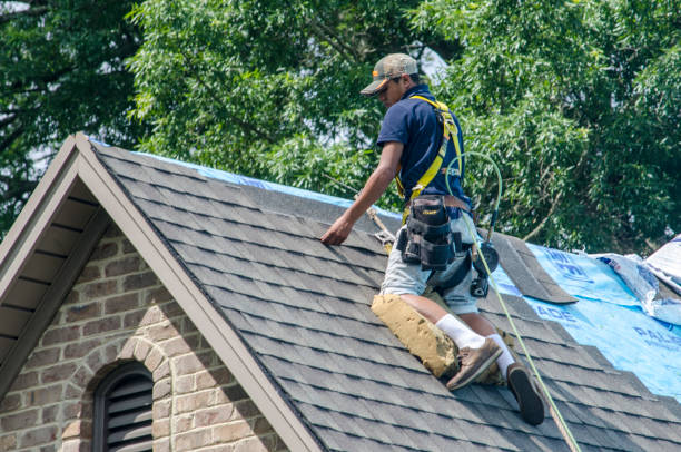 Best New Roof Installation  in Posen, IL